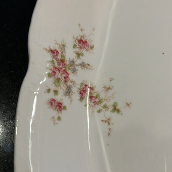 Vintage Semi-Porcelain Platter, Antique Platter, Vintage Platter - Picture 2 of 9